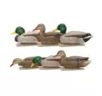 Avian-X Topflight Fusion Mallards 6pcs - Lokkende bilder / -diagram - 810280080766 - 1