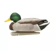 Avian-X Topflight Fusion Mallards 6pcs - Lokkende bilder / -diagram - 810280080766 - 6