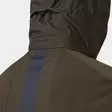 - - - 6