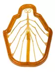 Easy Shrimp Legs 2.0 Medium - Andre bindingstilbehør - 40850000666 - 1