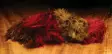 Hareline Wooly Bugger Marabou - Øvrige fjær - 40450300026 - 34
