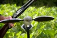MOJO Voodoo Dove - Lokkende bilder / -diagram - 0816740002576 - 1
