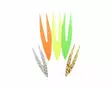 Pacchiarinis Double Tails M - Andre bindingstilbehør - 40850006546 - 1