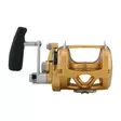 Penn International 50VISW Gold - Lette kystsneller - 031324167056 - 3