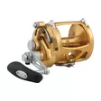 Penn International 50VISW Gold - Lette kystsneller - 031324167056 - 1