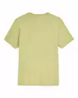 Simms Trout Outline T-Shirt Tent Green - T-skjorter herre - 694264694466 - 2