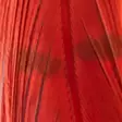 Veniard Cock Pheasant Colour Extracted T - Rumper - 404503000026 - 5