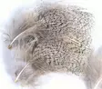 Veniard English Partridge Grey Neck Feat - Øvrige fjær - 40401030006 - 2