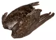 Veniard Grouse Wings - Hud, vinger og hode - 5056304601615 - 1