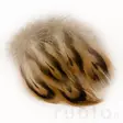 Hen Mallard Breast Feathers - Klassiske fjær - 5056304602544 - 2