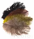 Ostrich Mini Plumes - Øvrige fjær - 40450300056 - 1