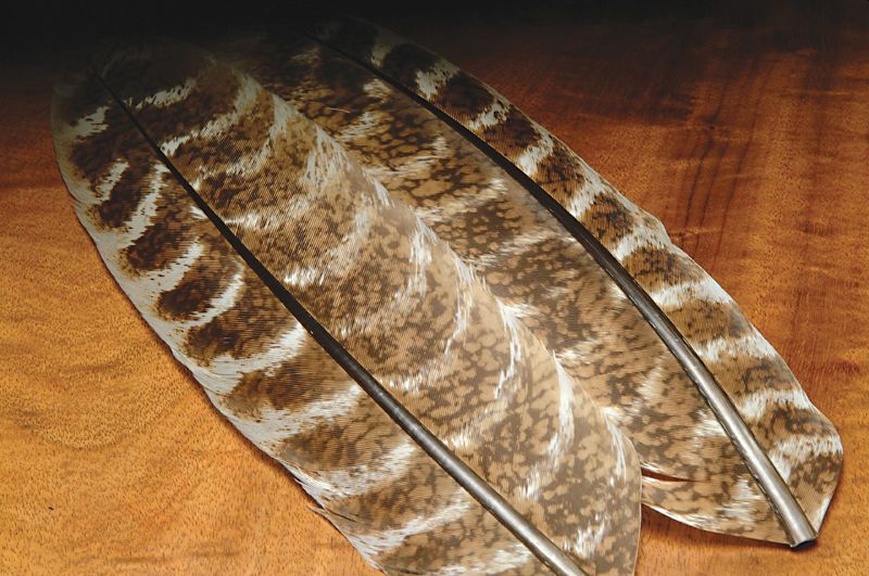 Hareline Ozark Turkey Wing Quills Oak Mottled - Klassiske fjær - 762820009846 - 3