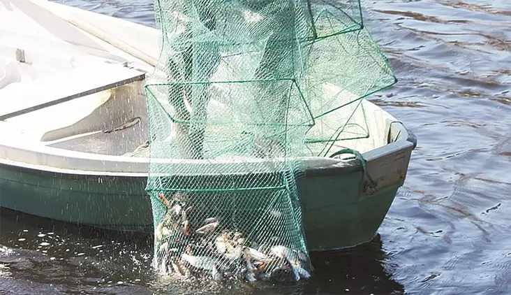 Aapo Kalatupa 8,5M - Katsar - 6418252939186 - 2