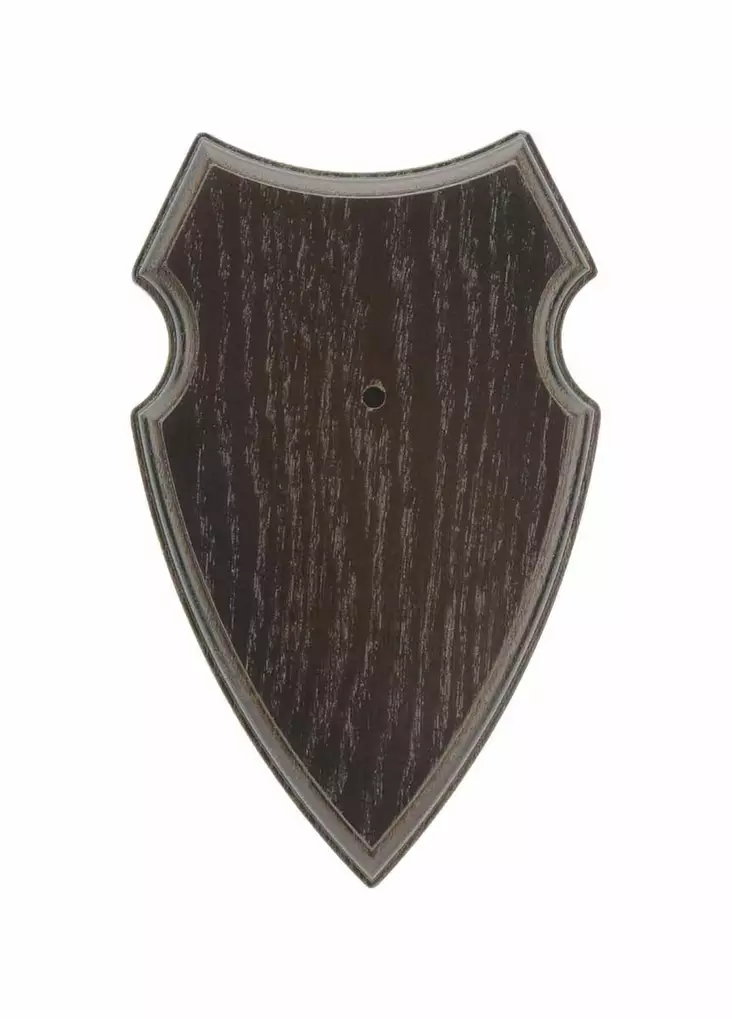 Eurohunt Trofeetausta Tumma 19x12cm - Ulike jaktprodukter - 4250392310096 - 1