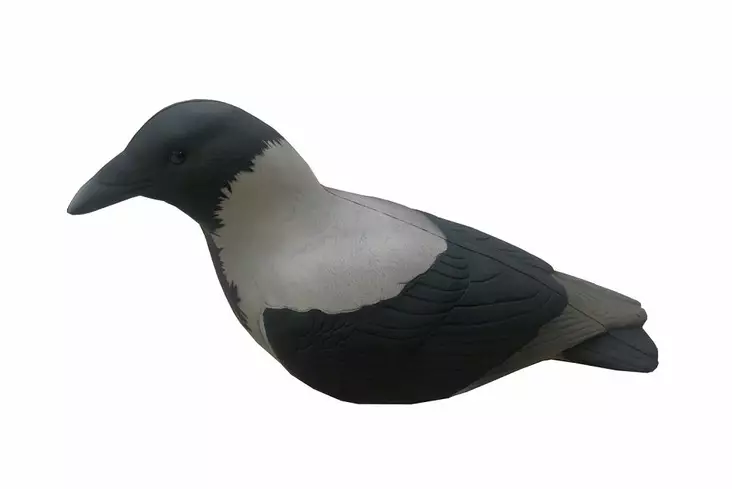 Final Approach Last Pass hooded Crow - Lokkende bilder / -diagram - 728614276696 - 1