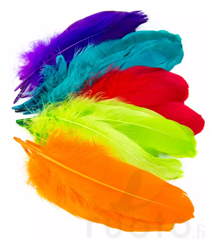 Goose Shoulder - Klassiske fjær - 4045030096 - 1