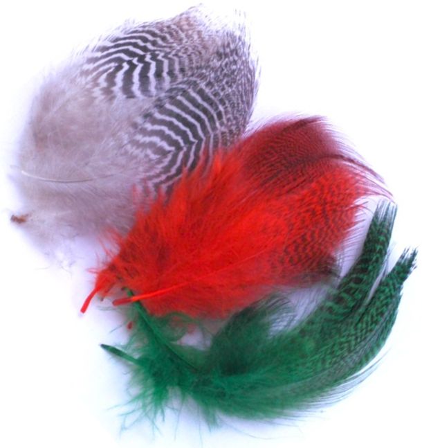 Hareline Teal Flank Feathers - Øvrige fjær - 40450300096 - 1