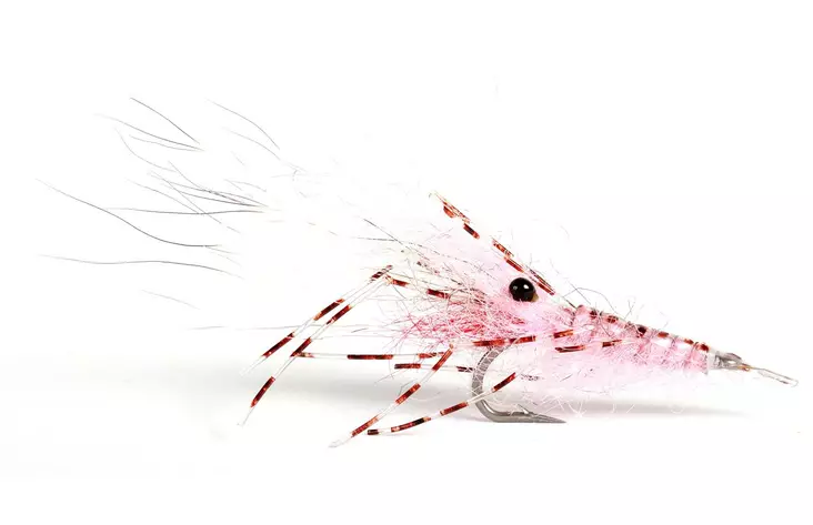 Leoshrimp Pink - Krepsereker - 7033840130326 - 1