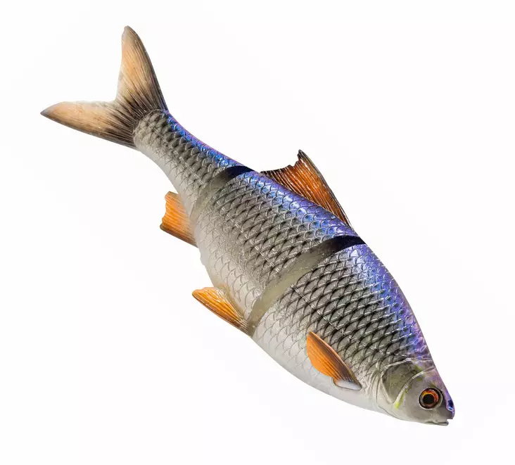 Savage Gear 3D Line Thru Roach 25cm Slow Sink - Gummibeten for gjedde - 04072023126 - 1