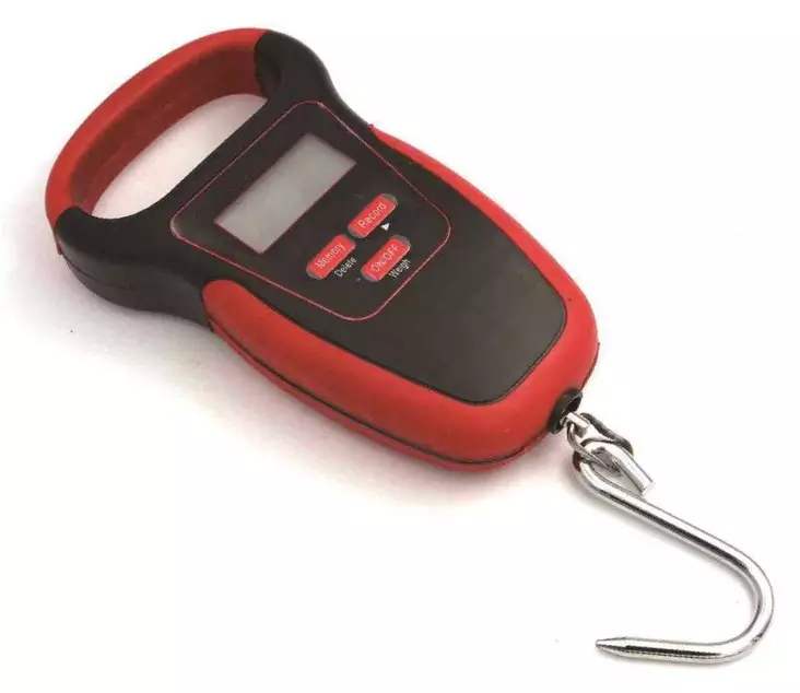 Saxa Floating Fish Scale 50 kg - Andre verktøy og tilbehør - 6438407012236 - 2