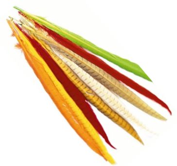 Veniard Cock Pheasant Colour Extracted T - Rumper - 404503000026 - 1