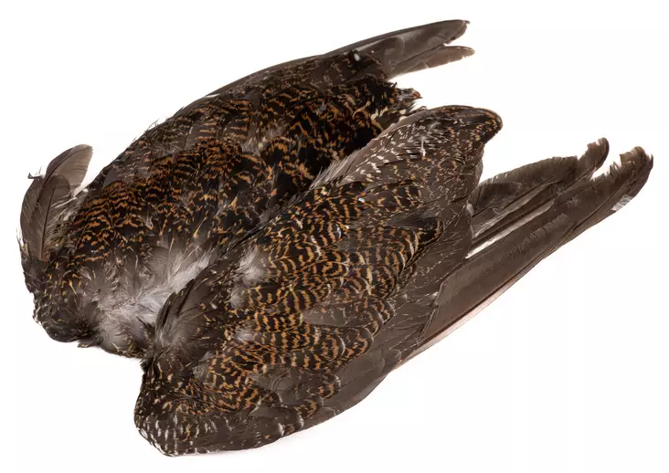 Veniard Grouse Wings - Hud, vinger og hode - 5056304601615 - 1