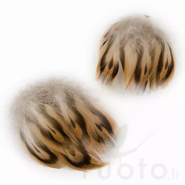 Hen Mallard Breast Feathers - Klassiske fjær - 5056304602544 - 1