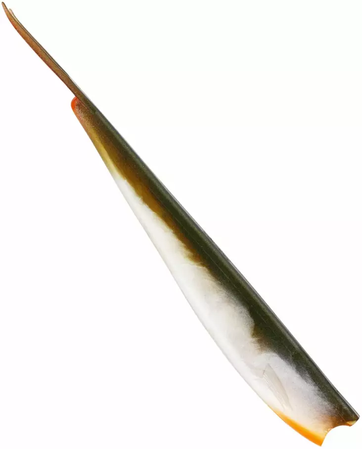 Westin TwinTeez V-Tail 24cm - Vertikaljigger - 1734056 - 1