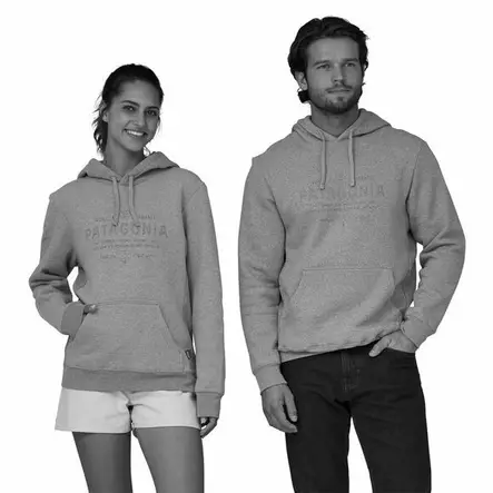 Patagonia Forge Mark Uprisal Hoody Sleet Green - Hettegensere - 195699808027 - 2