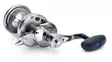 Daiwa 20 Saltiga LD 2 Speed - Hav- og trollingruller - 043178592427 - 3