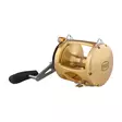 Penn International 80VISW Gold - Lette kystsneller - 031324167087 - 2