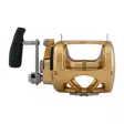 Penn International 80VISW Gold - Lette kystsneller - 031324167087 - 3