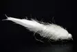 White Leech Tungsten Beadhead - Streamere og igler - 8859202532237 - 1