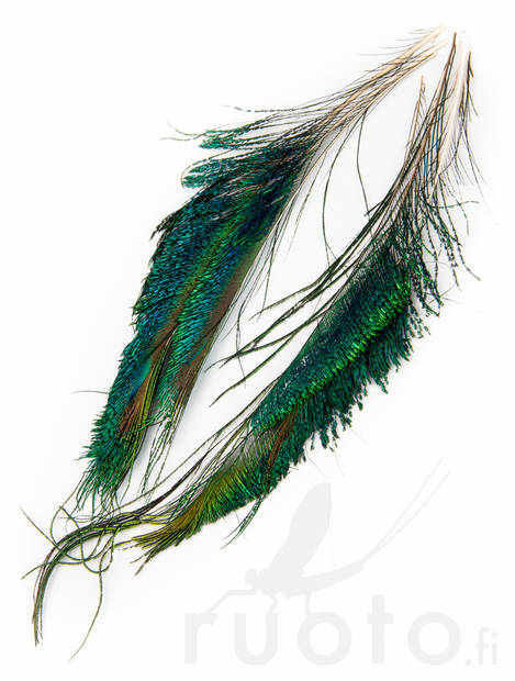 FTS Strung Peacock Herl - Øvrige fjær - 5056304603862 - 3