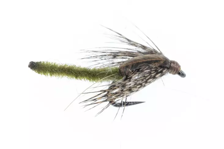 Chenille Pupa Olive - Våte fluer - 06429810537317 - 1