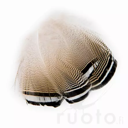 Wapsi Wood Duck Black and White Flank Feathers - Klassiske fjær - 053526035018 - 3