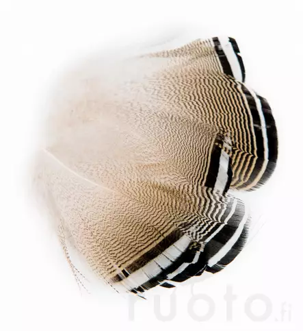 Wapsi Wood Duck Black and White Flank Feathers - Klassiske fjær - 053526035018 - 2