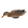 Avian-X Power Shaker Mallard Hen Surface Feeder - Lokkende bilder / -diagram - 888151047538 - 1