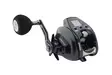 Daiwa 23 Leobritz 300 JL E - Store havsneller - 043178188538 - 2