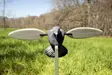 MOJO Pigeon - Lokkende bilder / -diagram - 816740002828 - 5