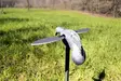 MOJO Pigeon - Lokkende bilder / -diagram - 816740002828 - 6