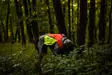 Non-stop Dogwear Protector Vest 2.0 Orange - Hundejakker og -vester - 7071652045568 - 7