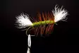 Pompero Olive Salmon Dry Fly - Andre laksefluer - 8859202530028 - 1