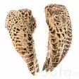 Veniard Hen Pheasant Wings - Hud, vinger og hode - 5056304604586 - 4