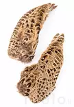 Veniard Hen Pheasant Wings - Hud, vinger og hode - 5056304604586 - 1