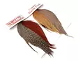 Whiting Introductory Hackle Pack Capes - Tørrflueknokler og -salter - 6160440133738 - 1