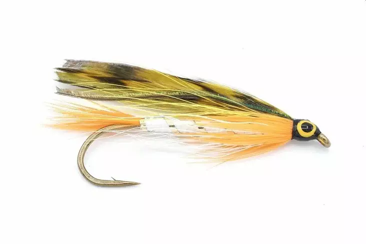 Golden Shiner - Streamere og igler - 8859202538918 - 1