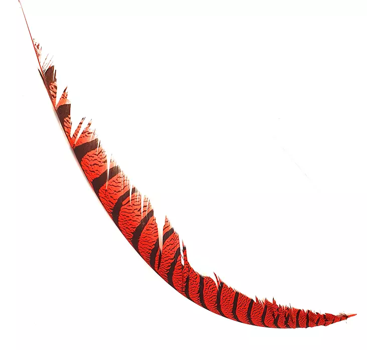 Hareline Lady Amherst Center Tail - Rumper - 40400700518 - 1