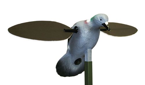 MOJO Pigeon - Lokkende bilder / -diagram - 816740002828 - 1