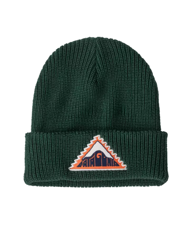 Patagonia Kids Logo Beanie Driftways Patch Cascade Green - Caps - 198077432838 - 1